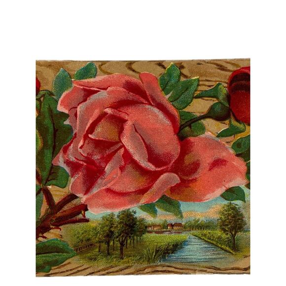 Antique 1911 Ephemera Embossed Posted Signed Postcard Best Wishes Roses Country - Picture 1 of 6